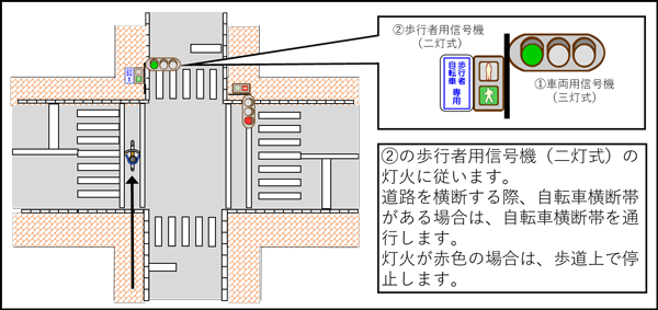 「歩行者用信号機（二灯式）に「歩行者・自転車専用」の標示がある場合」の画像